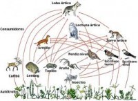 /album/fotogaleria-blog1/images-3-jpg2/